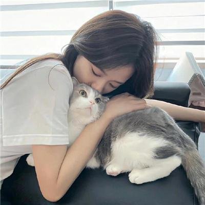 合约情人