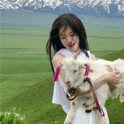 圣殿骑士之路尽头的国度